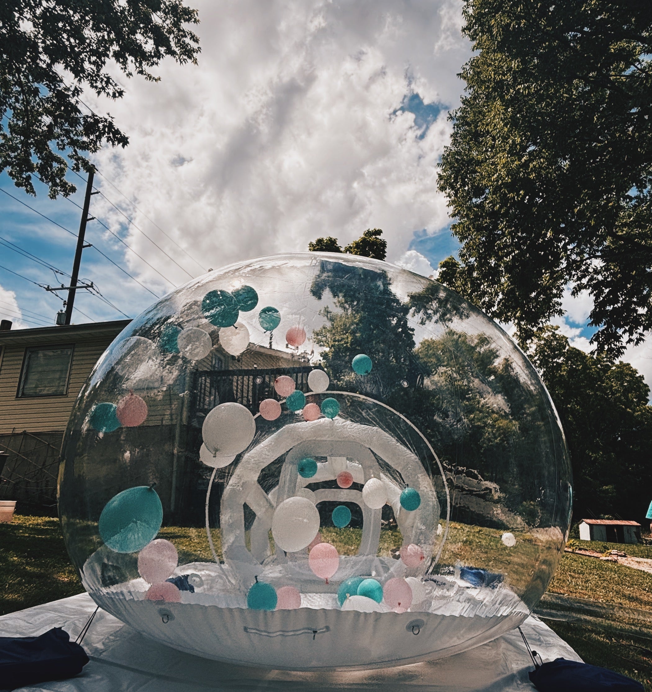 BBLou's Bubble